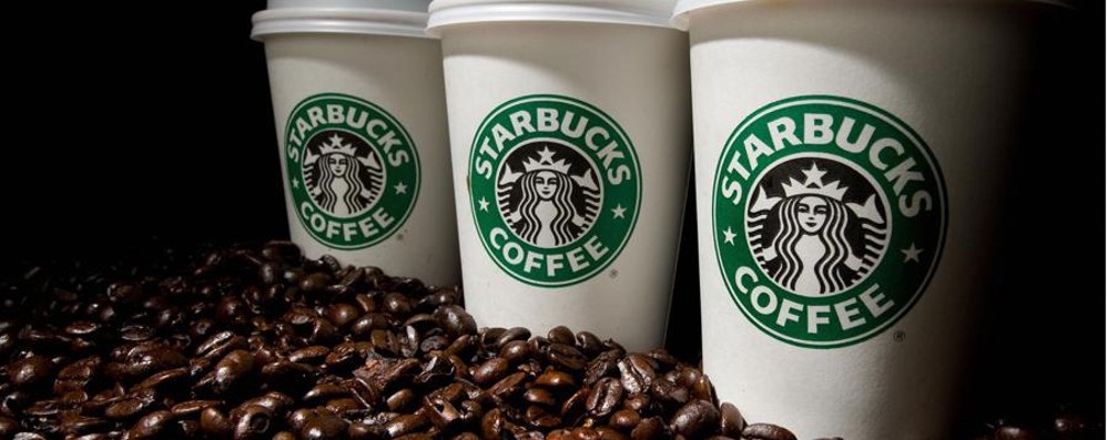 Starbucks Franchise Cost Fee Profit Information Uk Franchise