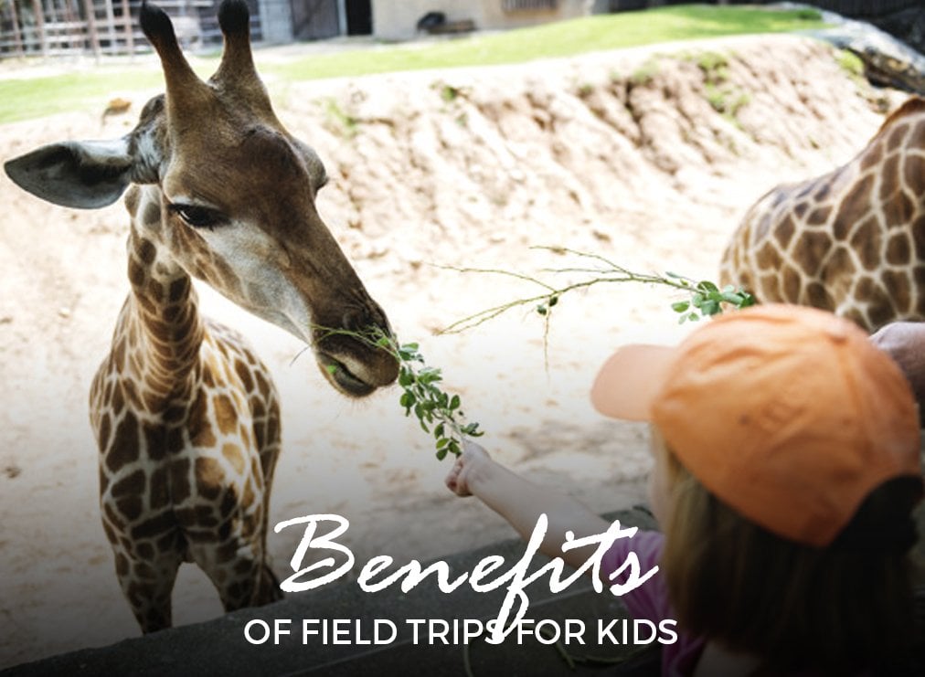 Learn the Benefits of Field Trips for Kids