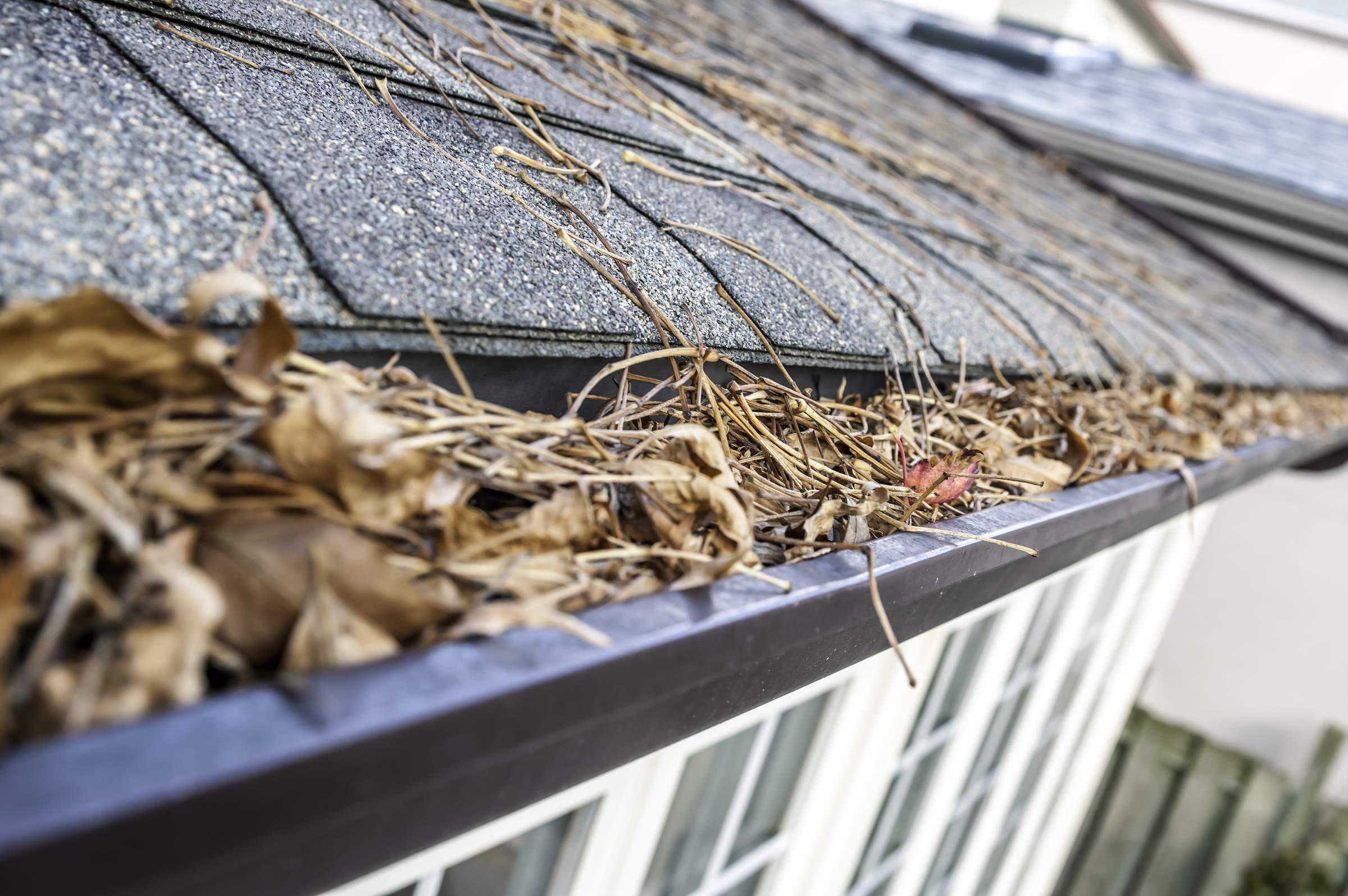 Learn These Gutter Cleaning Safety Tips